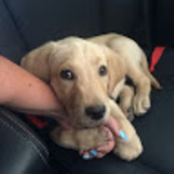 Meet your Posher, E - Picture 1 of 1